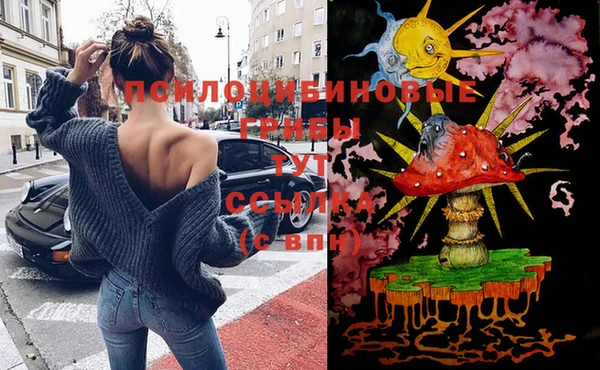 сатива Зеленодольск