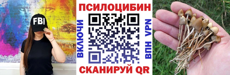 Галлюциногенные грибы MAGIC MUSHROOMS Купить Маркс